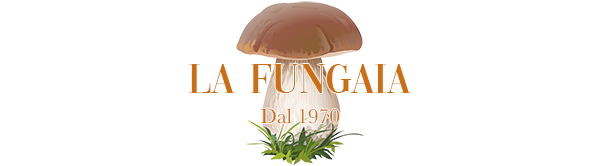 La Fungaia